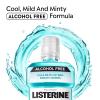 imageListerine AlcoholFree Mouthwash Non Alcoholic Mint Oral Rinse Kills 999 of Germs That Cause Bad Breath for a Fresh Breath ampamp Clean Mouth Less Intense Taste Cool Mint Flavor 1 L1691 Fl Oz Pack of 6