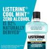 imageListerine AlcoholFree Mouthwash Non Alcoholic Mint Oral Rinse Kills 999 of Germs That Cause Bad Breath for a Fresh Breath ampamp Clean Mouth Less Intense Taste Cool Mint Flavor 1 L338 Fl Oz Pack of 2