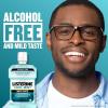 imageListerine Cool Mint Antiseptic Mouthwash to Kill 99 of Germs That Cause Bad Breath Plaque and Gingivitis Cool Mint Flavor 1 L 2Pack338 Fl Oz Pack of 1