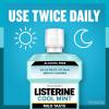 imageListerine Cool Mint Antiseptic Mouthwash to Kill 99 of Germs That Cause Bad Breath Plaque and Gingivitis Cool Mint Flavor 1 L 2Pack338 Fl Oz Pack of 1