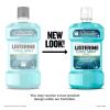 imageListerine Cool Mint Antiseptic Mouthwash to Kill 99 of Germs That Cause Bad Breath Plaque and Gingivitis Cool Mint Flavor 1 L 2Pack3381 Fl Oz Pack of 2