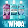 imageListerine Cool Mint Antiseptic Mouthwash to Kill 99 of Germs That Cause Bad Breath Plaque and Gingivitis Cool Mint Flavor 1 L 2Pack3381 Fl Oz Pack of 2