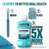 imageListerine Cool Mint Antiseptic Mouthwash to Kill 99 of Germs That Cause Bad Breath Plaque and Gingivitis Cool Mint Flavor 1 L 2Pack3381 Fl Oz Pack of 2