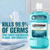 imageListerine Cool Mint Antiseptic Mouthwash to Kill 99 of Germs That Cause Bad Breath Plaque and Gingivitis Cool Mint Flavor 1 L 2Pack3381 Fl Oz Pack of 2