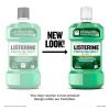 imageListerine Cool Mint Antiseptic Mouthwash to Kill 99 of Germs That Cause Bad Breath Plaque and Gingivitis Cool Mint Flavor 1 L 2Pack85 Fl Oz Pack of 1