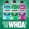 imageListerine Freshburst Antiseptic Mouthwash for Bad Breath Kills 999 of Bad Breath Germs ampamp Fights Plaque ampamp Gingivitis ADA Accepted Mouthwash Spearmint Convenience Pack 2 x 1 L338 Fl Oz Pack of 1