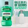 imageListerine Freshburst Antiseptic Mouthwash for Bad Breath Kills 999 of Bad Breath Germs ampamp Fights Plaque ampamp Gingivitis ADA Accepted Mouthwash Spearmint Convenience Pack 2 x 1 L338 Fl Oz Pack of 1