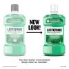imageListerine Freshburst Antiseptic Mouthwash for Bad Breath Kills 999 of Bad Breath Germs ampamp Fights Plaque ampamp Gingivitis ADA Accepted Mouthwash Spearmint Convenience Pack 2 x 1 L338 Fl Oz Pack of 1