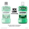 imageListerine Freshburst Antiseptic Mouthwash for Bad Breath Kills 999 of Bad Breath Germs ampamp Fights Plaque ampamp Gingivitis ADA Accepted Mouthwash Spearmint Convenience Pack 2 x 1 L169 Fl Oz Pack of 1