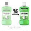 imageListerine Smart Rinse Kids AlcoholFree Anticavity Sodium Fluoride Mouthwash ADA Accepted Oral Rinse for Dental Cavity Protection Mint Shield Flavor for Childrens Oral Care 500 mL Pack of 6Mint