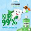 imageListerine Smart Rinse Kids AlcoholFree Anticavity Sodium Fluoride Mouthwash ADA Accepted Oral Rinse for Dental Cavity Protection Mint Shield Flavor for Childrens Oral Care 500 mL Pack of 6Mint