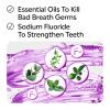 imageListerine Total Care Anticavity Fluoride Mouthwash 6 Benefits in 1 Oral Rinse Helps Kill 99 of Bad Breath Germs Prevents Cavities Strengthens Teeth Fresh Mint Twin Pack 2 x 1 L338 Fl Oz Pack of 2