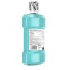imageListerine Ultraclean Oral Care Antiseptic Mouthwash Everfresh Technology to Help Fight Bad Breath Gingivitis Plaque ampamp Tartar ADAAccepted Oral Rinse Cool Mint 1 L Pack of 2Artic Mint