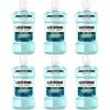 16.91 Fl Oz (Pack of 6)
