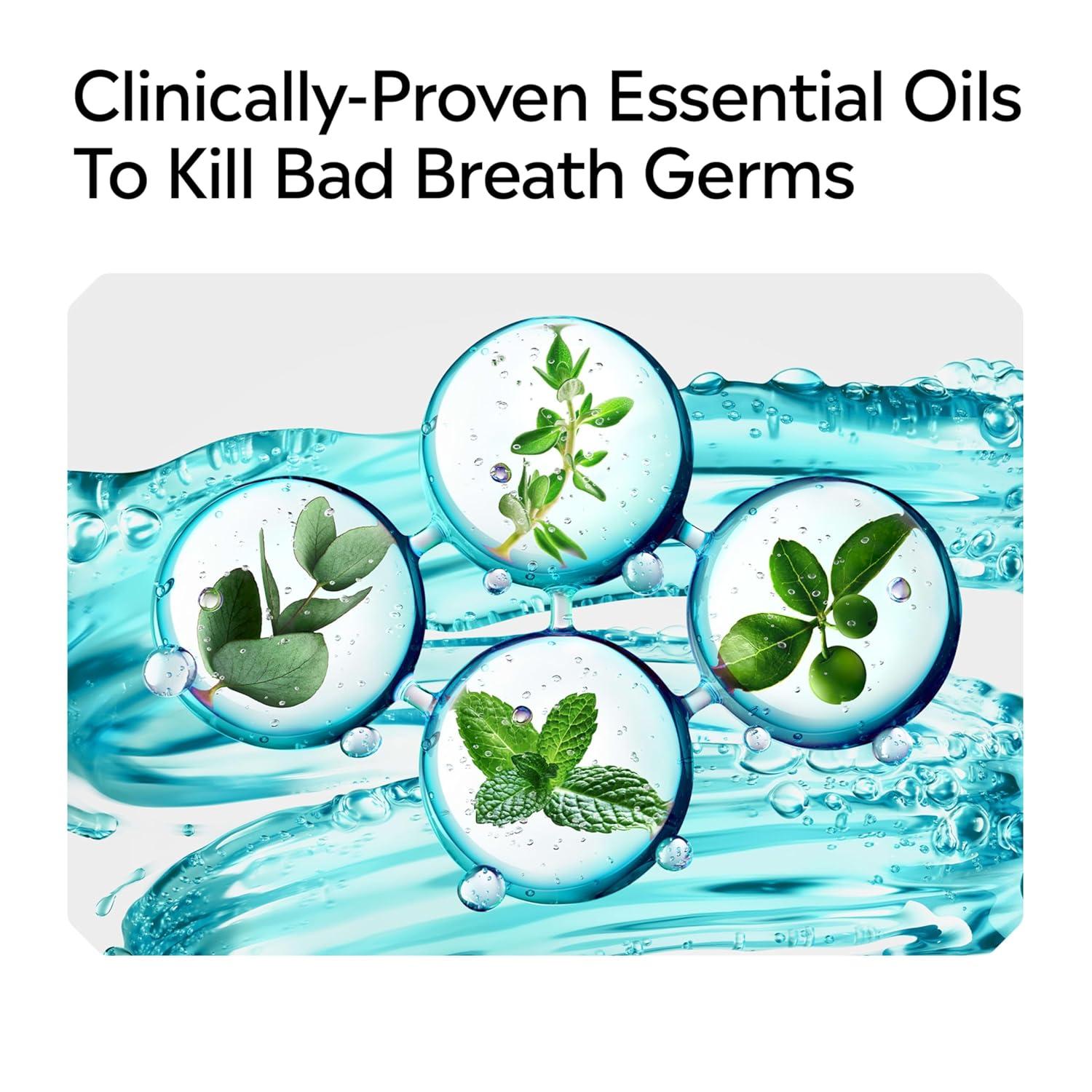 imageListerine Alcohol Free Mouthwash Less Intense AlcoholFree Oral Care Formula for Bad Breath Cool Mint Flavor 32 fl ozCool Mint