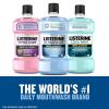 imageListerine Ultraclean Alcohol Free Tartar Control Mouthwash Oral Rinse to Help Fight Bad Breath and Tartar for Cleaner Naturally White Teeth Arctic Mint Flavor 500 mL338 Fl Oz Pack of 2