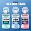 imageListerine Ultraclean Alcohol Free Tartar Control Mouthwash Oral Rinse to Help Fight Bad Breath and Tartar for Cleaner Naturally White Teeth Arctic Mint Flavor 500 mL338 Fl Oz Pack of 1