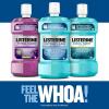imageListerine Ultraclean Oral Care Antiseptic Mouthwash Everfresh Technology to Help Fight Bad Breath Gingivitis Plaque ampamp Tartar ADAAccepted Tartar Control Oral Rinse Cool Mint 1 L338 Fl Oz Pack of 1