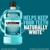 imageListerine Ultraclean Oral Care Antiseptic Mouthwash to Help Fight Bad Breath Germs Gingivitis Plaque and Tartar Oral Rinse for Healthy Gums Fresh Cool Mint Flavor 500 ml Blue Pack of 2Mouthwash Pack of 2