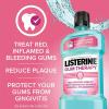 imageListerine Cool Mint Antiseptic Mouthwash to Kill 99 of Bad Breath Germs and Gum Therapy Mouthwash in Glacier Mint to Help Reverse Signs of Early Gingivitis Convenience Pack 2 x 1 L