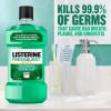 imageListerine Freshburst Antiseptic Mouthwash for Bad Breath Kills 99 of Germs That Cause Bad Breath ampamp Fight Plaque ampamp Gingivitis ADA Accepted Mouthwash Spearmint 1 L