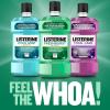 imageListerine Freshburst Antiseptic Mouthwash for Bad Breath Kills 99 of Germs That Cause Bad Breath ampamp Fight Plaque ampamp Gingivitis ADA Accepted Mouthwash Spearmint 1 L